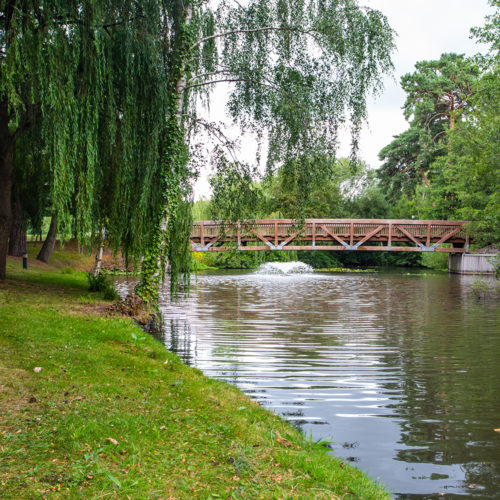 ascot film location lake