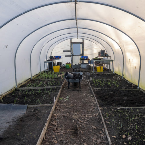 Hassocks film location polytunnel