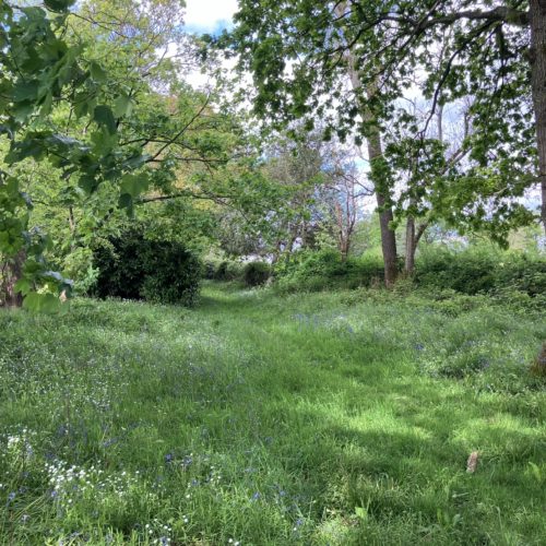 Hassocks film location meadow