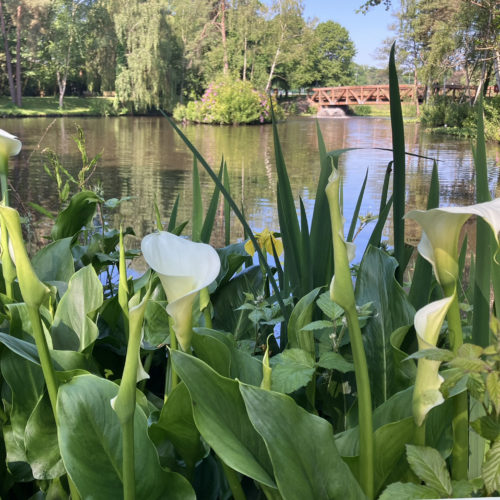 ascot film location lake