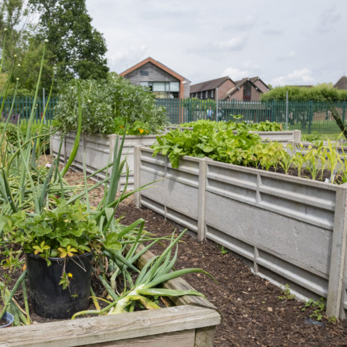 Hassocks film location garden