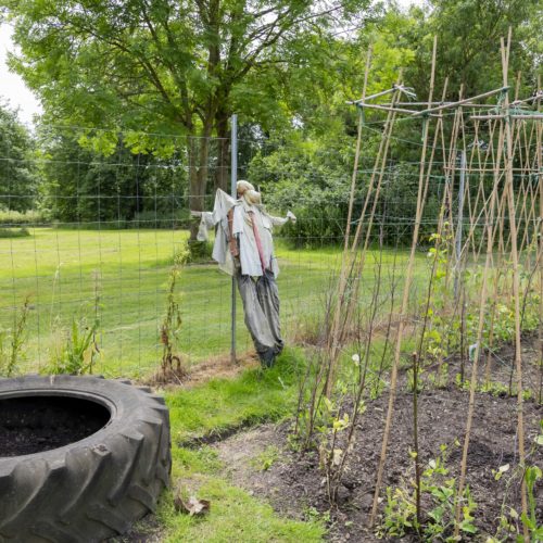 Hassocks film location garden